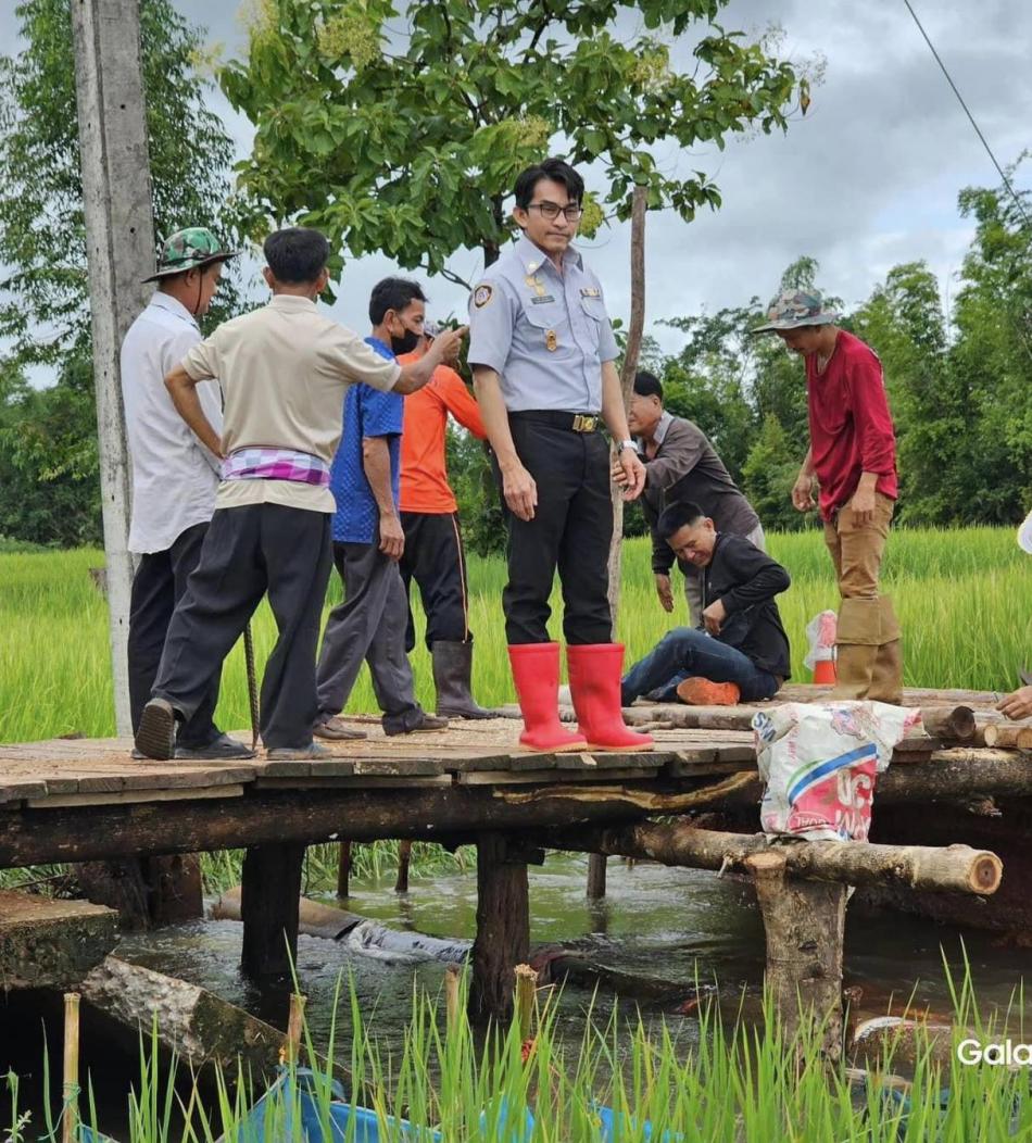 วันที่ 29 กันยายน 2566 นายยงชัย รักษาพล นายกองค์การบริหารส่วนตำบลพุ่มแก พร้อมด้วยคณะผู้บริหารและทีม ปภ. ( ป้องกันและบรรเทาสาธารณภัย ) อบต.พุ่มแก นำโดย จ.ส.อ.ธีระวิทย์ กองแก้ว ลงพื้นที่ออกสำรวจเส้นทางถนนยุบ - ถนนขาด เส้นทางสายบ้านตับเต่า - นาหนาด - ขอนขว้าง พร้อมทั้งได้ดำเนินการสร้างสะพานไม้ชั่วคราวให้กับพี่น้องประชาชนผู้สัญจรไปมา เพื่อความสะดวกสบายและความปลอดภัยในชีวิตและทรัพย์สินของพี่น้องประชาชน  ขอขอบคุณทุกภาคส่วนท่าน ผญบ.หมู่ 15 ผญ.สลิด เมืองสุวรรณ ท่าน สอบต.หมู่ 15 สอบต.บุญเพ็ง เมืองสุวรรณ สอบต.หมู่ 8 สอบต.อนุวัตร พ่อสียา สอบต.หมู่ 7 สอบต.ฤทธิ์ พ่อโพธิ์ ตลอดจนชาวบ้านพี่น้องประชาชนที่ร่วมด้วยช่วยกันในการสร้างสะพานไม้ชั่วคราว