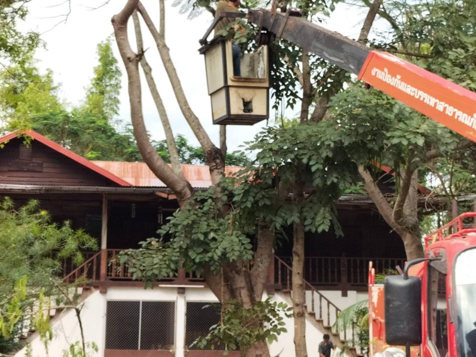 25 ตุลาคม 2566 นายยงชัย รักษาพล นายกองค์การบริหารส่วนตำบลพุ่มแก ได้มอบหมายให้เจ้าหน้าที่ออกตัด แต่งกิ่ง ต้นไม้บริเวณวัดโพนดู่