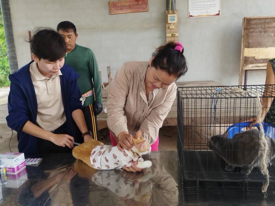 โครงการรณรงค์ป้องกันโรคพิษสุนัขบ้า ประจำปีงบประมาณ พ.ศ.2568